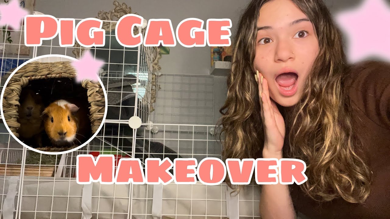 Guinea Pig Cage Makeover | Building A New Guinea Pig Cage