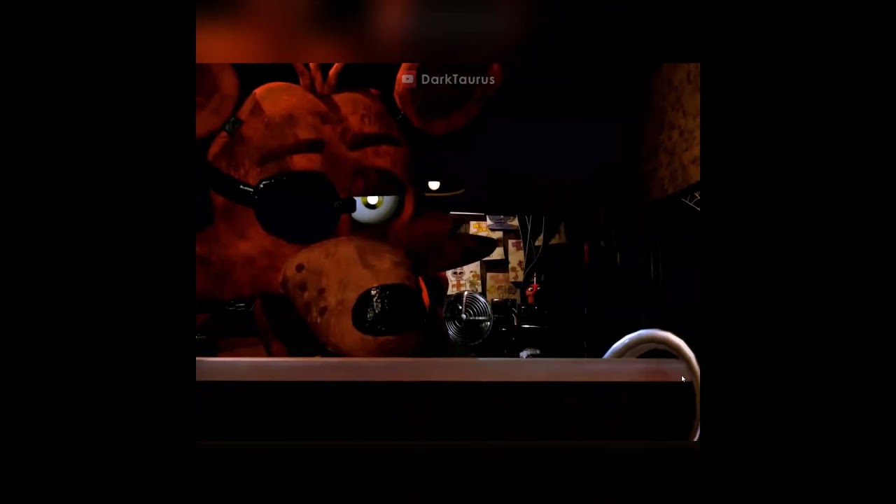 Foxy 