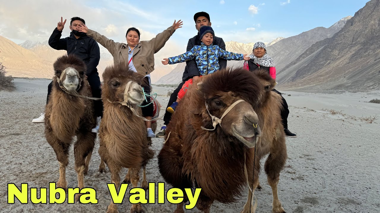 Shocking 😳 moments / never ever saw big 🐪camel/camel  ride / Nubra vally.