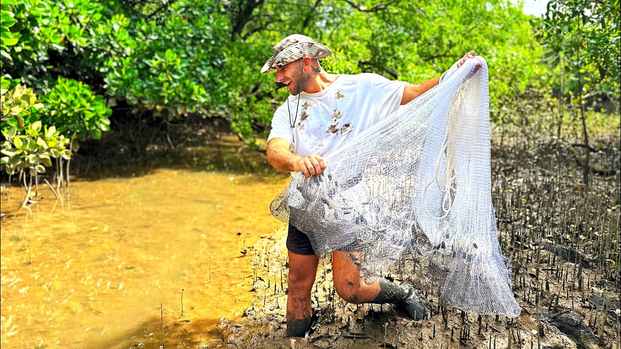 LIVE BAIT Fishing For BARRAMUNDI - In Far North Queensland