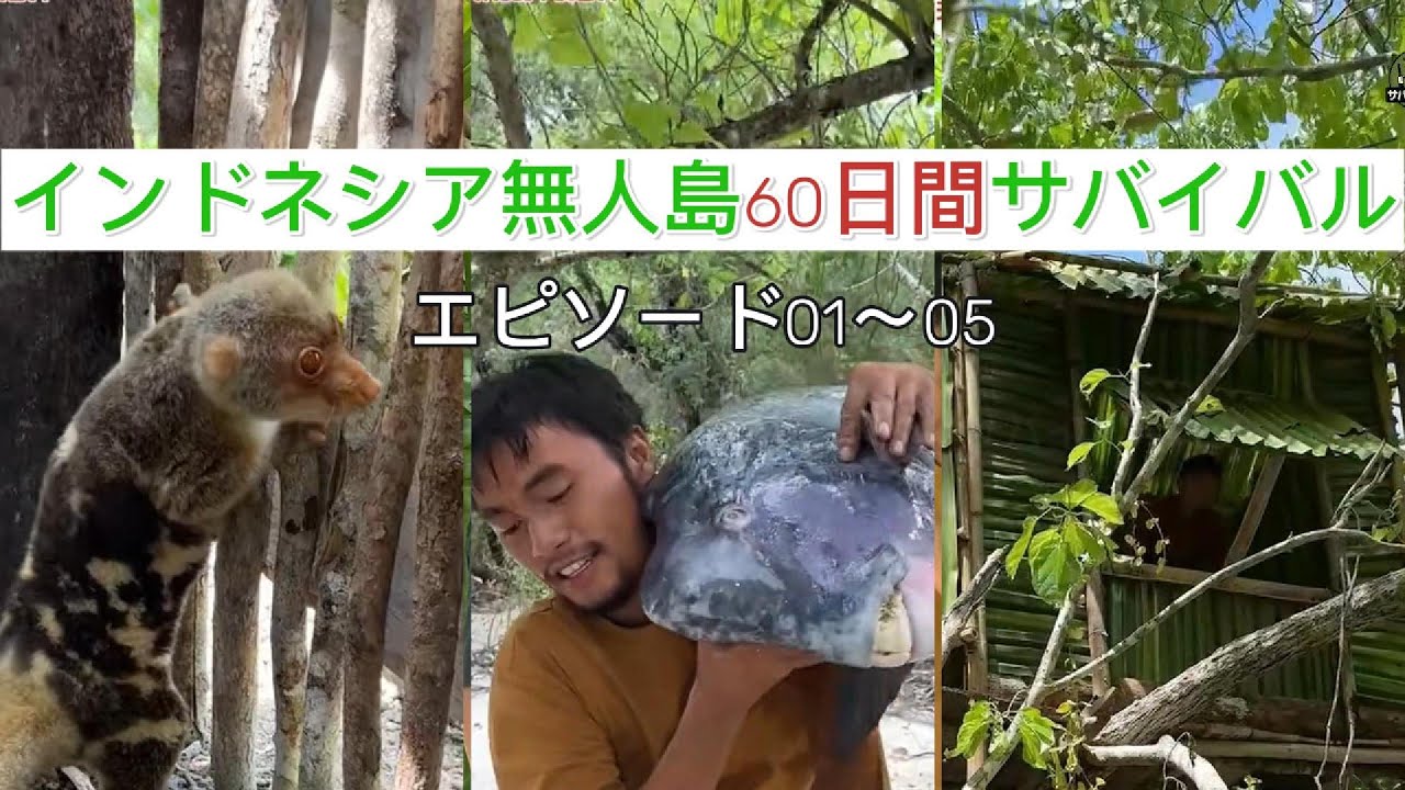 (エピソード01～05)インドネシア無人島で60日間サバイバル！豊富な海鮮と生きる日々 | ダートウとジン兄サバイバル生活