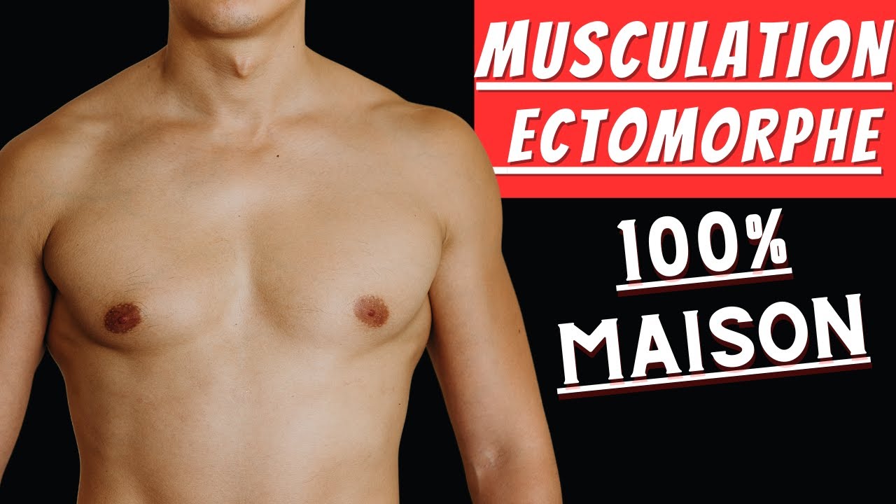MUSCULATION ECTOMORPHE: Le Guide Complet pour D&eacute;butant (&Agrave; la maison, sans Mat&eacute;riel)