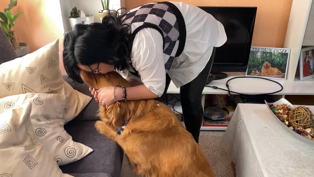 viajar con mascota  desde Colombia a España  - Presupuesto y Anécdota