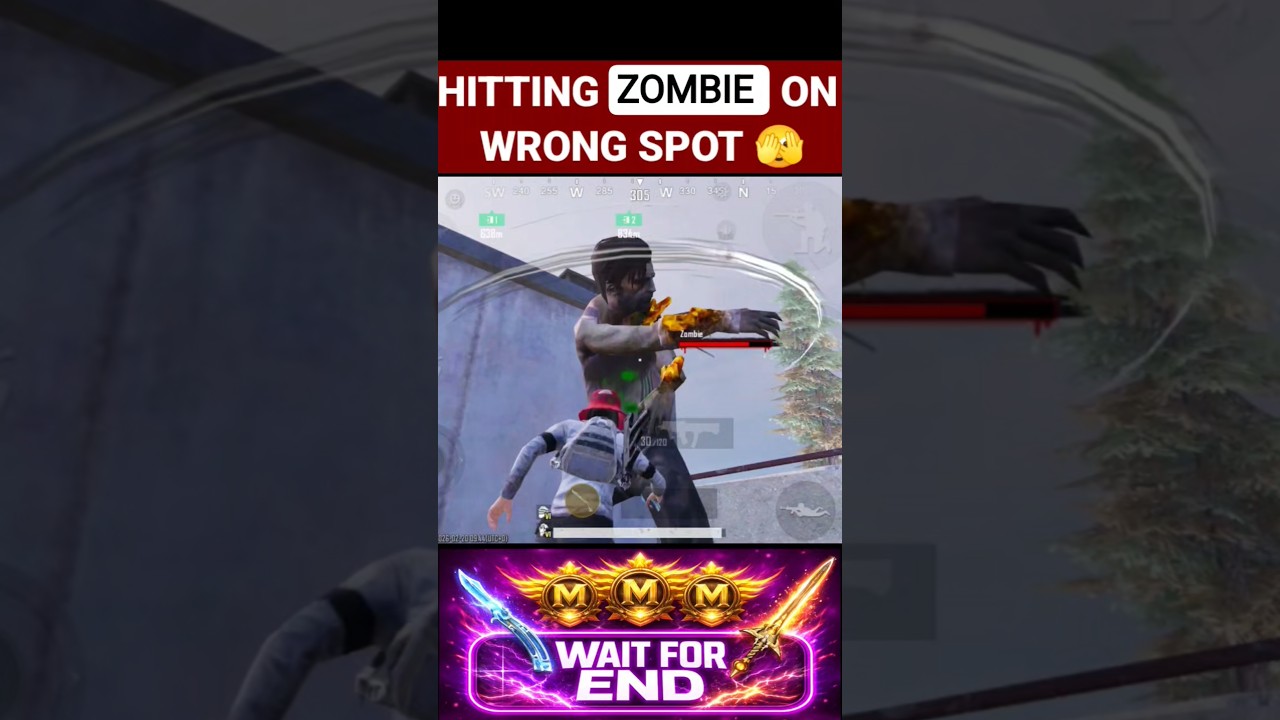 HITTING ZOMBIE ON WRONG SPOT 🫣