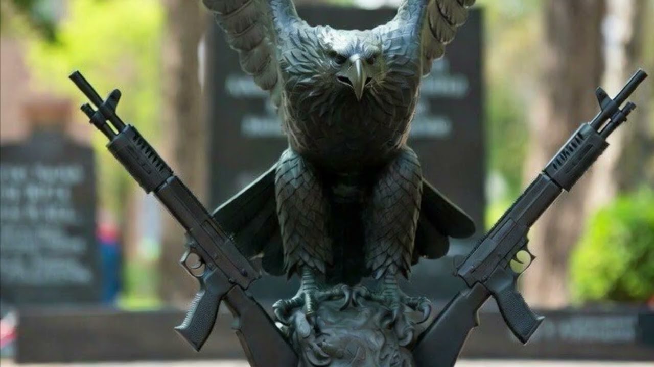 Living in the land of the mighty eagle 