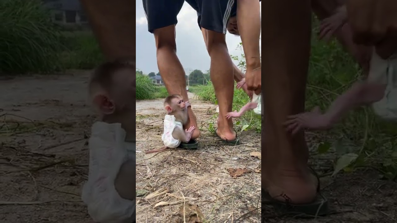 two babies hugging dad's legs🥰