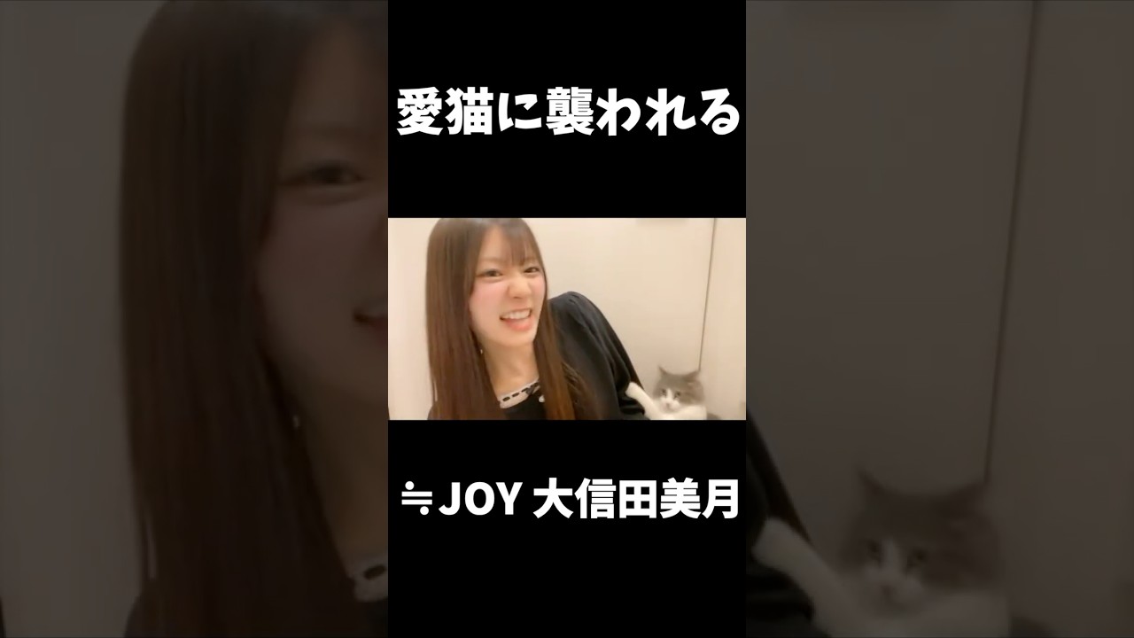 【ニアジョイ】愛猫に襲われる大信田美月【≒JOY（ニアリーイコールジョイ）】 #shorts