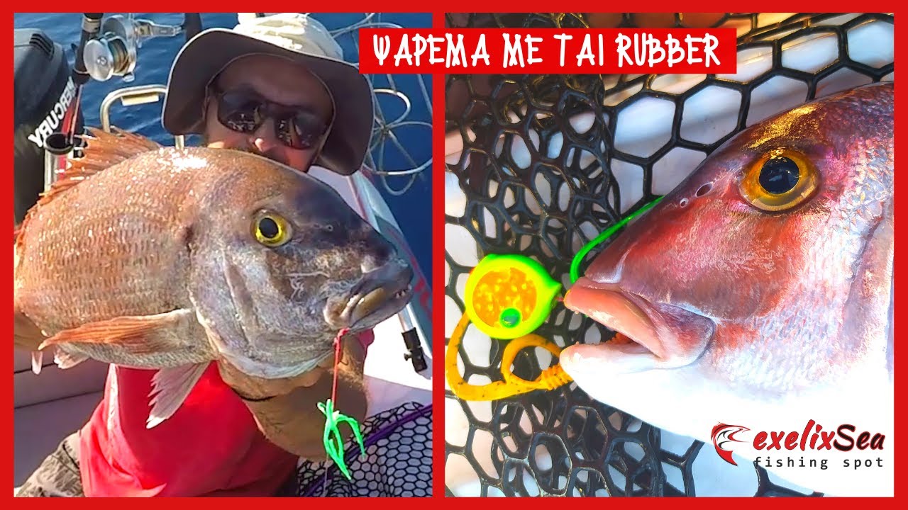 Ψάρεμα με tai rubber!! 🔴〰 Η κίνηση που έφερε την επιτυχία!!✅