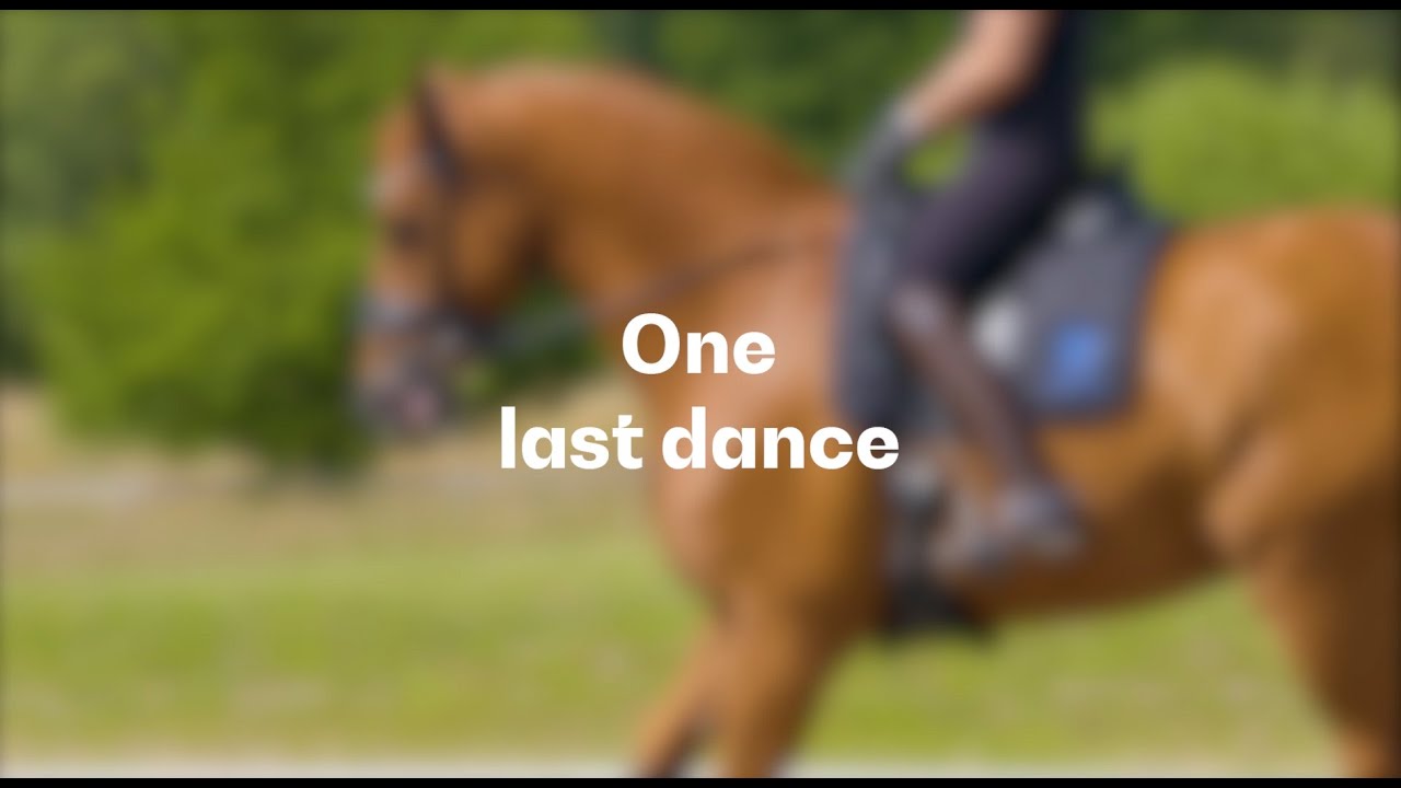 Cassidy - One Last Dance