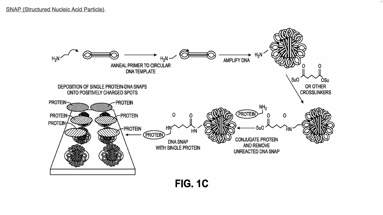 Nautilus Biotechnology