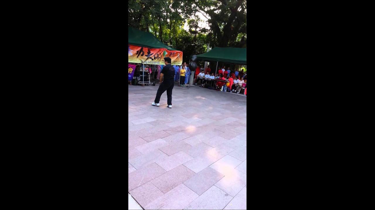 2014.11.2 六合八法-功夫閣