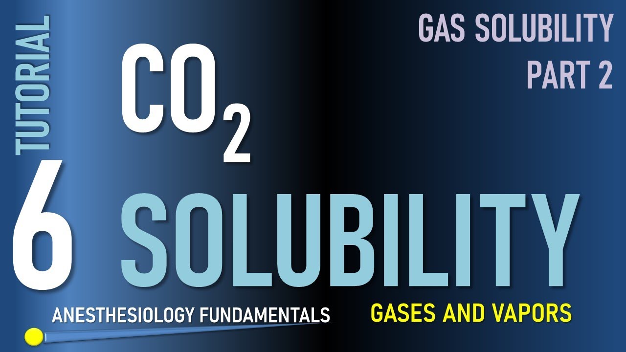 Carbon Dioxide (and Bicarbonate) Solubility