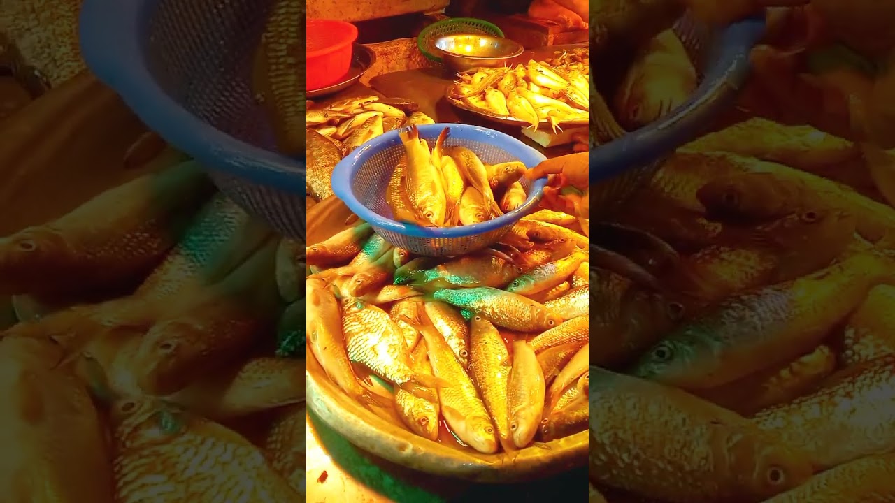 রমজান মাস উপলক্ষে কি কি বাজার করলাম 🥦#smartcookinghouse #bdkitchen #মাছ #বাজার #কেনাকাটা