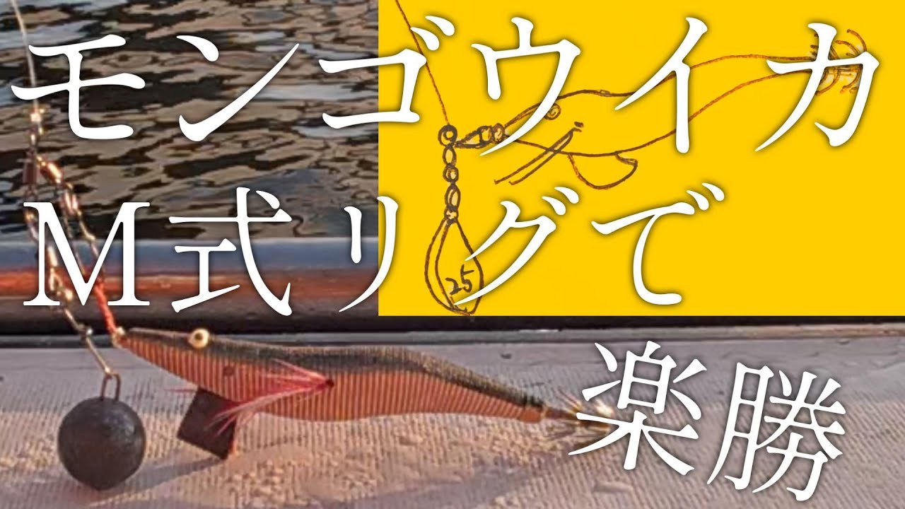 2026.2.22(日)小柴 三喜丸 モンゴウイカ M式リグで楽勝
