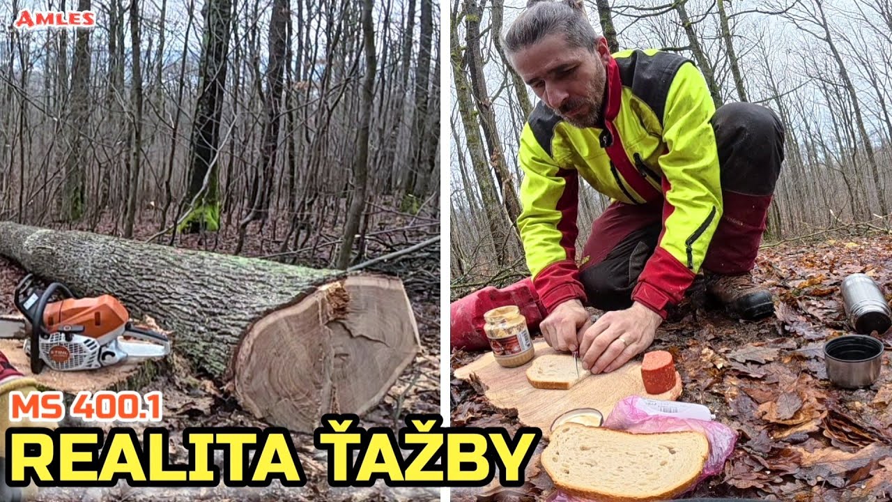 Тяжелый труд, грязь и природный обед | Лесозаготовка | Stihl MS 400.1 C-M в действии