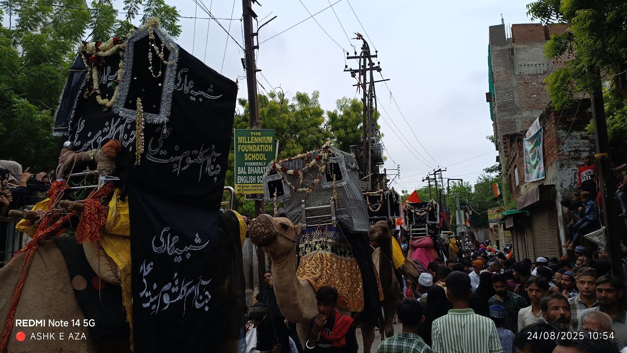 LIVE 🔴 Juloos Amari w Zuljanah | 29th Safar 2025 1447 Banaras up India