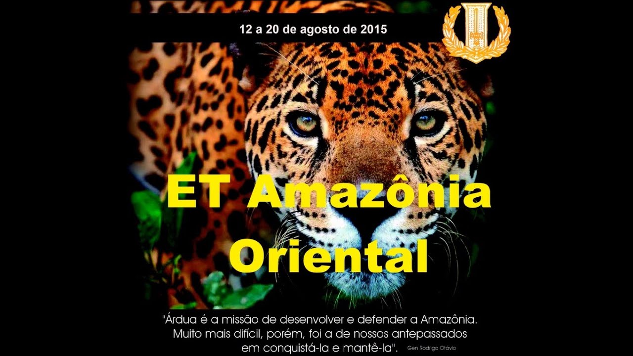 Exerc&iacute;cio no Terreno ECEME Amaz&ocirc;nia Oriental 2015