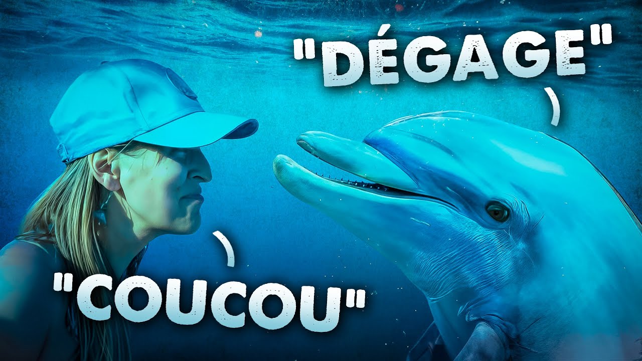 Elle parle aux dauphins.