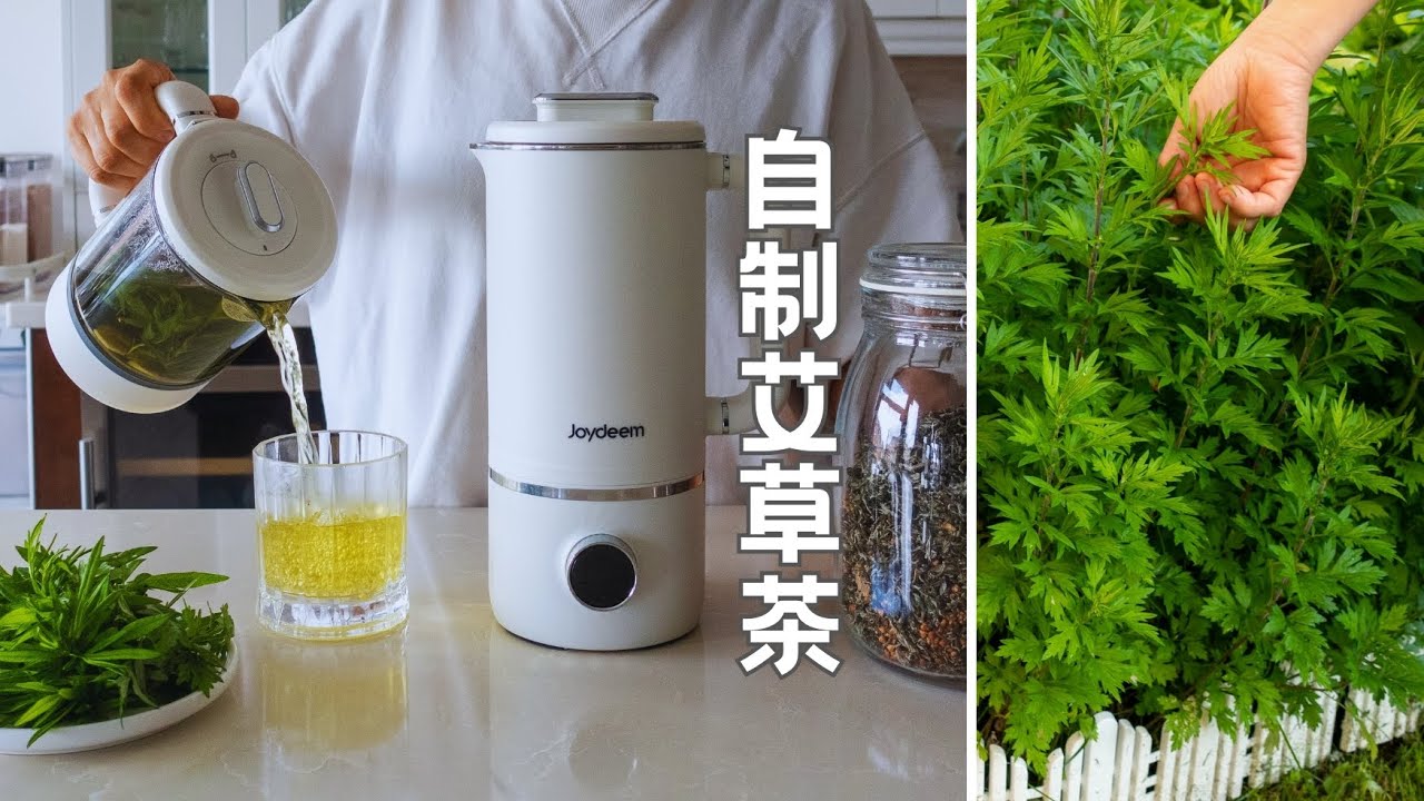 自制艾草茶: 养生新体验(两种艾草茶配方，黑豆鹰嘴豆红枣豆浆）JOYDEEM 豆浆机/破壁机/养生壶 Homemade Mugwort Tea: A New Wellness Experience