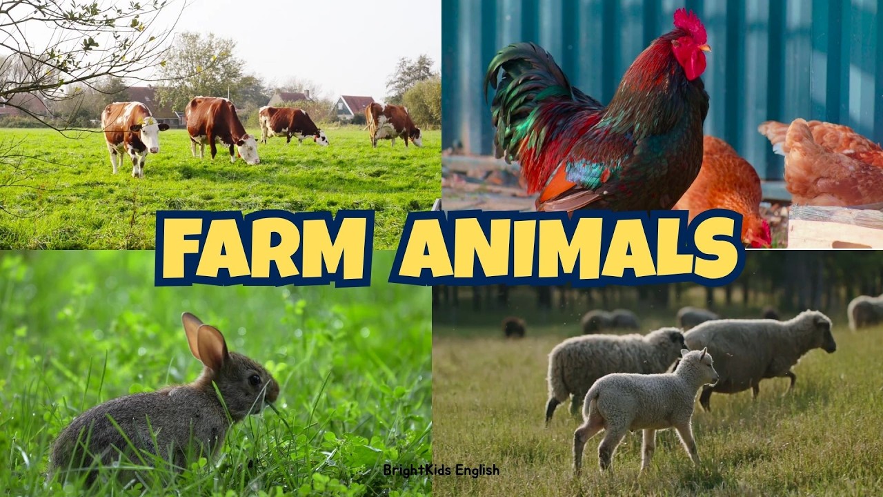 Farm Animals for Kids | Learn Farm Animal Names | Preschool Learning Video