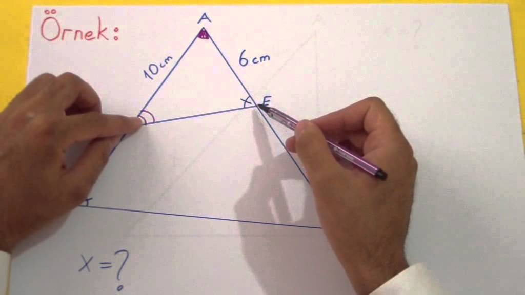 BENZERLİK 1 - Şenol Hoca