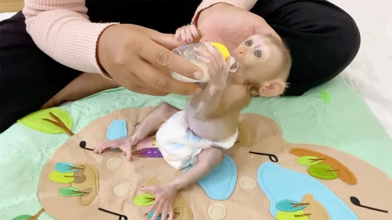 Mom Use Hand To Help Support BB DAM Drink Milk More Easy