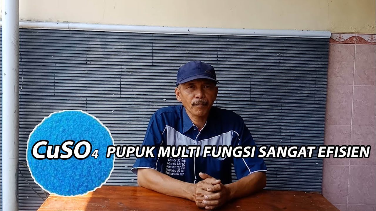 CuSO4 / TERUSI PUPUK MULTI FUNGSI DENGAN PEMAKAIAN SANGAT EFISIEN