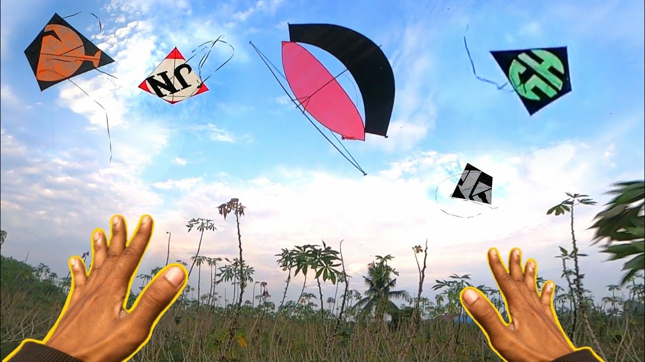 HOKI 10 TAHUN SEKALI DAPAT LAYANGAN MERAK DI KEBUN SINGKONG
