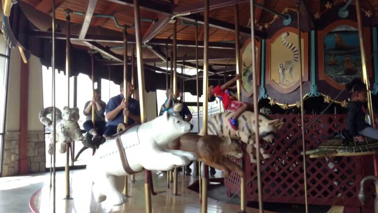 Chattanooga Zoo
