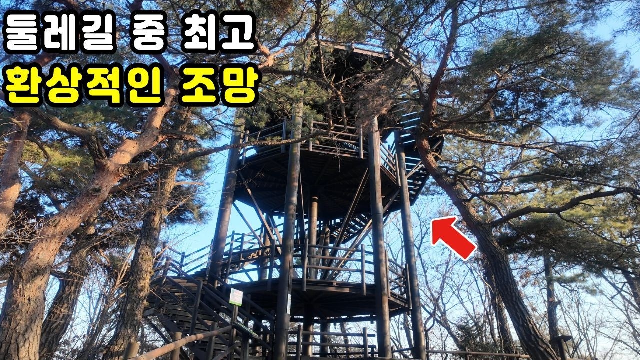 🥾그냥 걸었을 뿐인데 구름 위에 올라왔어요!🌄  둘레길 끝에서 만나는 전망대 풍경은 어떨까?