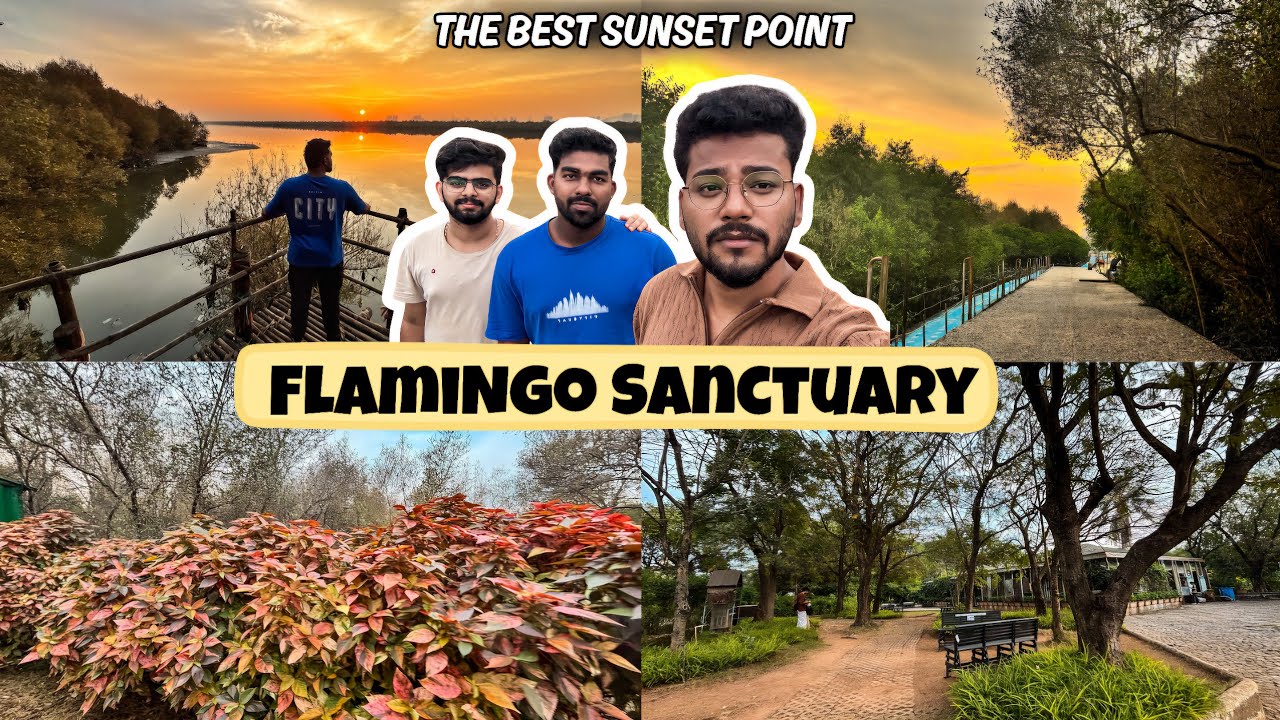 The Best Kept Secret of Mumbai || Hidden Flamingo Spot in Mumbai || Flamingo Safari