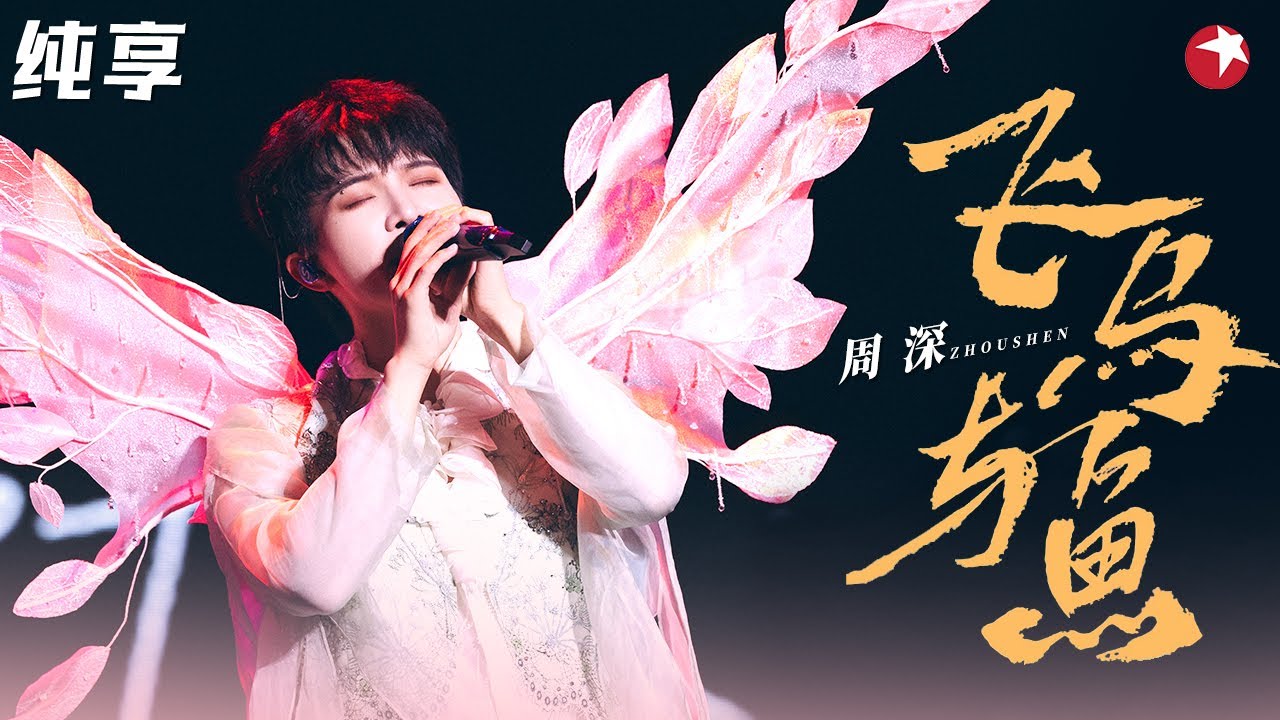 凄美又诀别！周深神级现场《飞鸟与鱼》对我的耳朵太友好了！