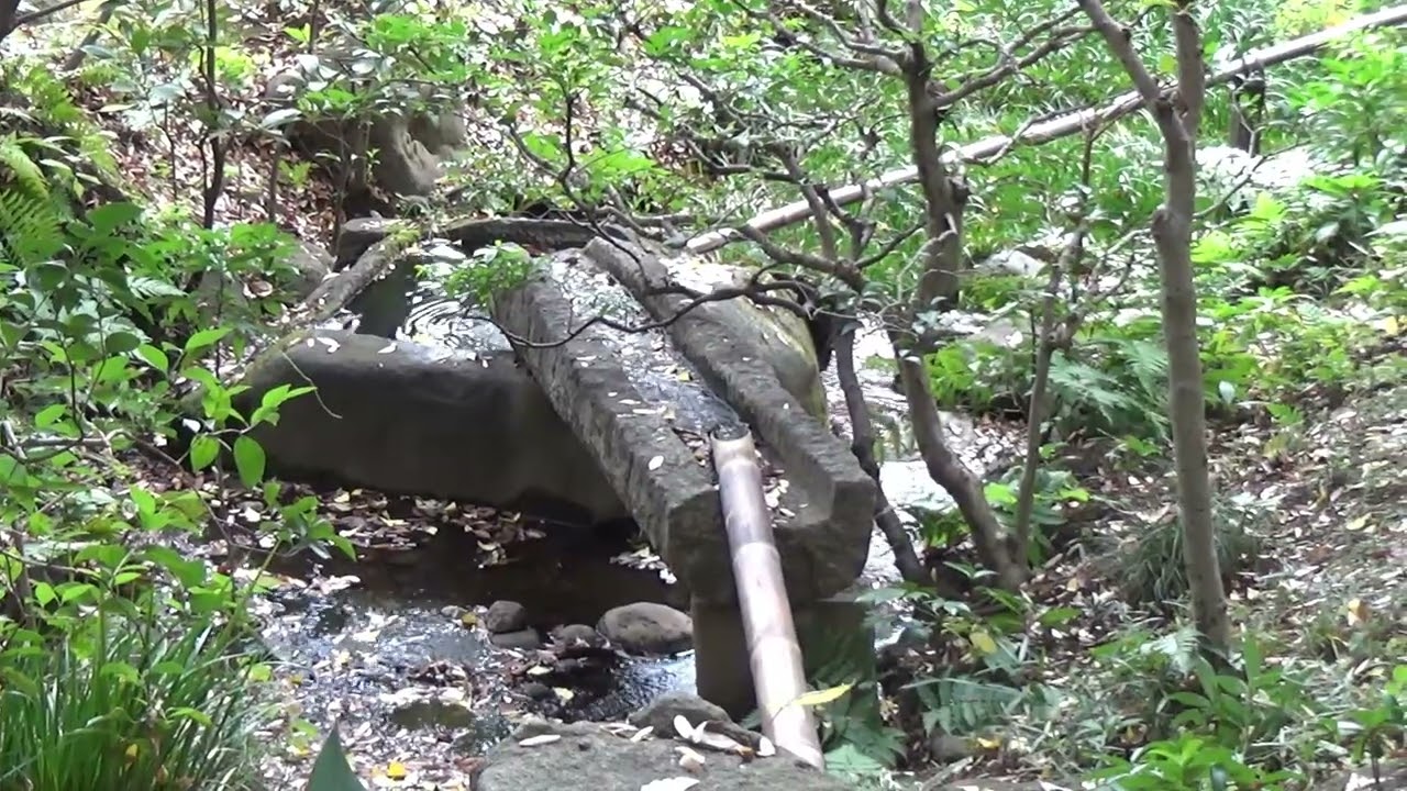 根津美術館庭園
