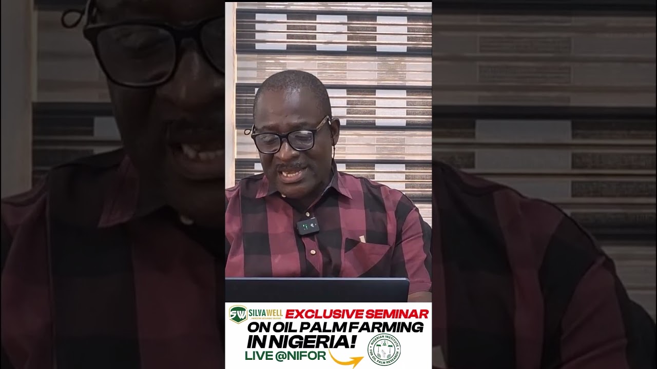 How to Start a Profitable Oil Palm Nursery in Nigeria