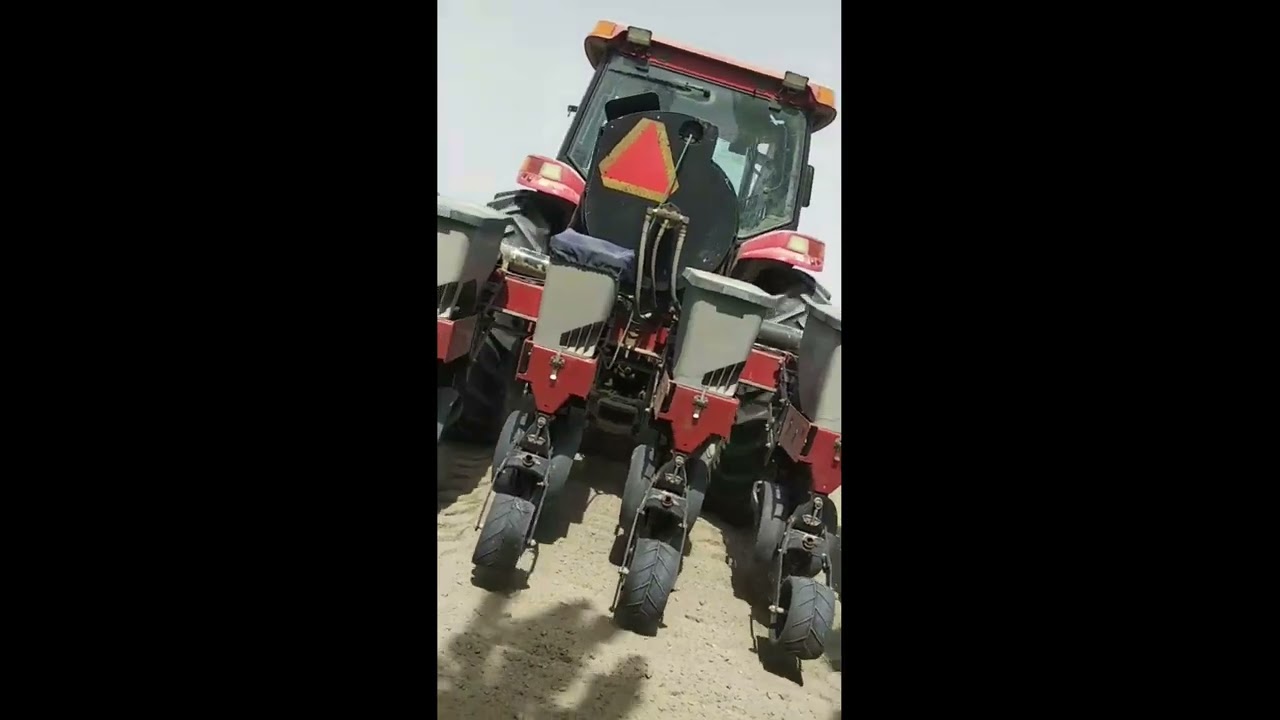 Maxxum 140 traktorida CASE IH ASM 1200 bilan chigit ekish | Cotton planting | Посев хлопка