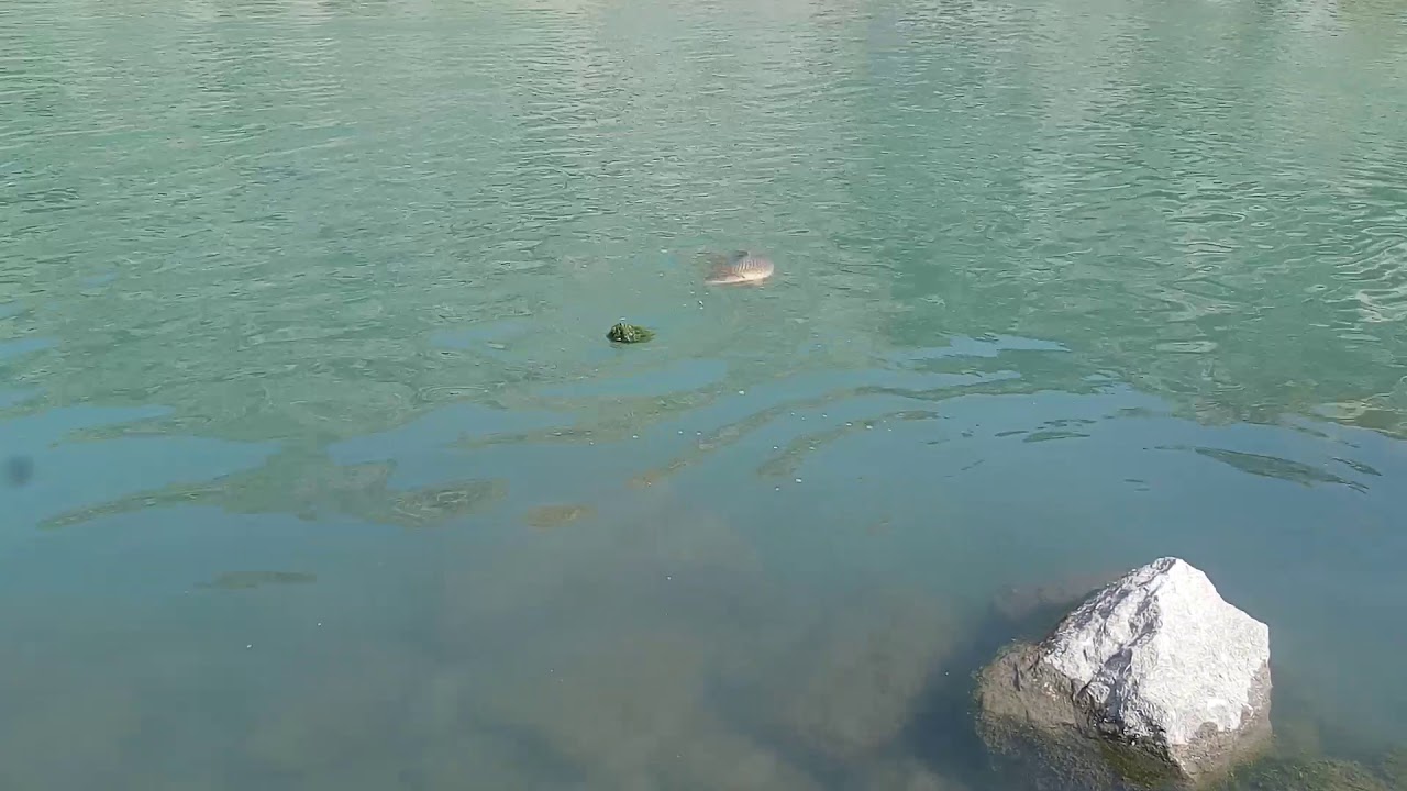 Fishing in Afghanistan with my family