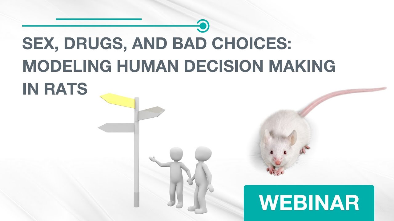 Sex, Drugs, and Bad Choices: Modeling Human Decision Making in Rats - Webinar