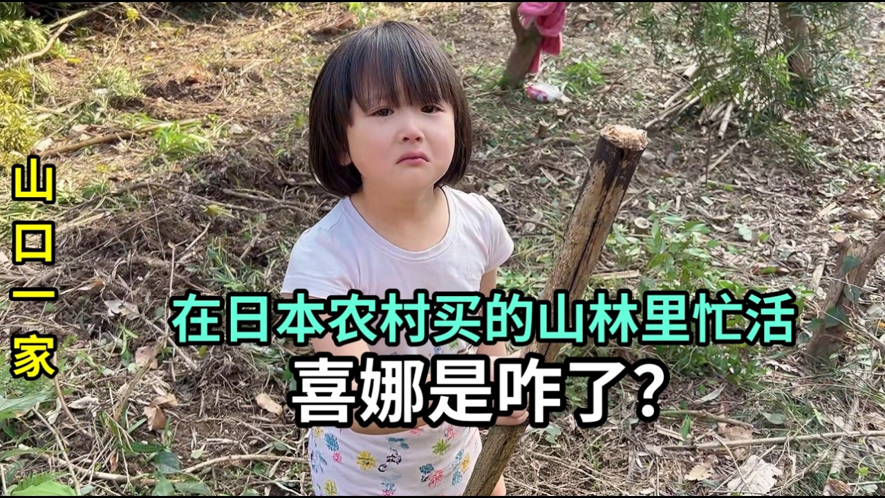 在日本農村買下一片山林，一年時間過去，變成什麽樣？