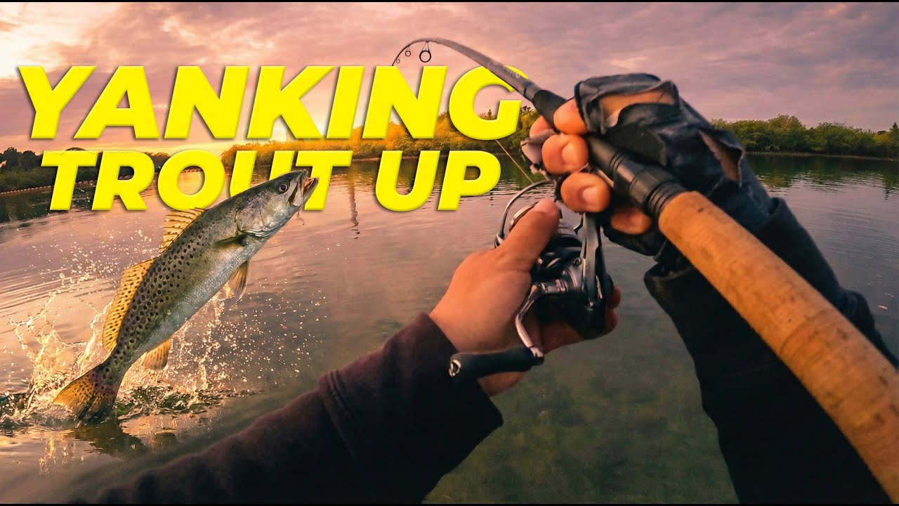 YANKING TROUT out the water at Anclote Pier | Yank Fishing