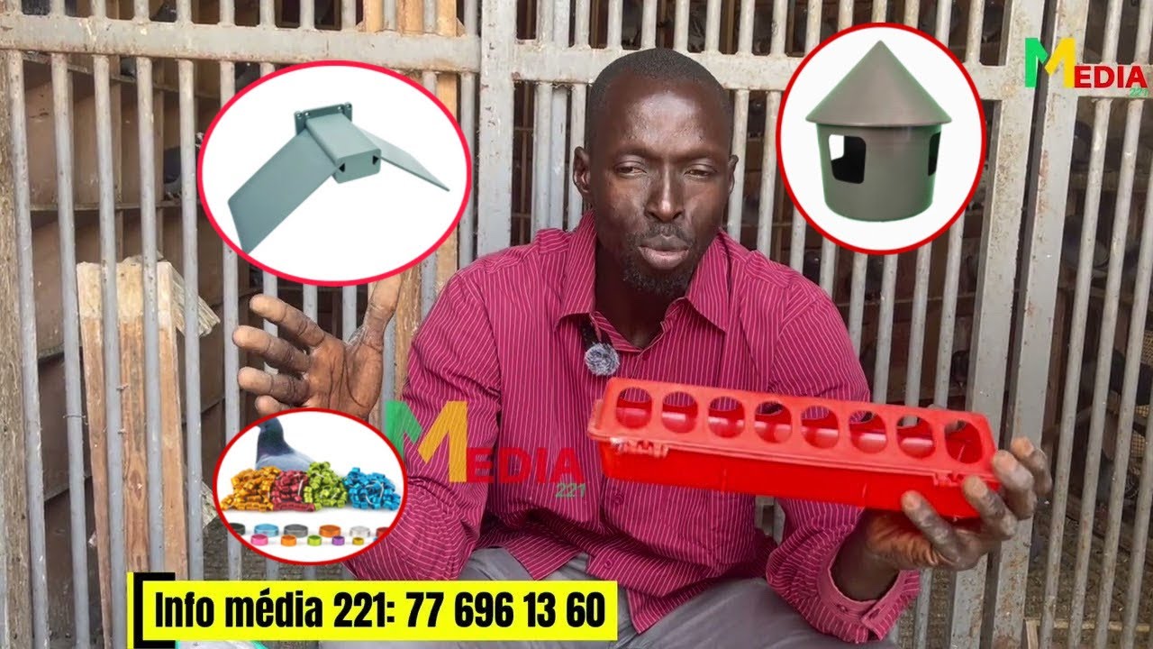 Les accessoires et que vous pouvez trouver chez Tindody