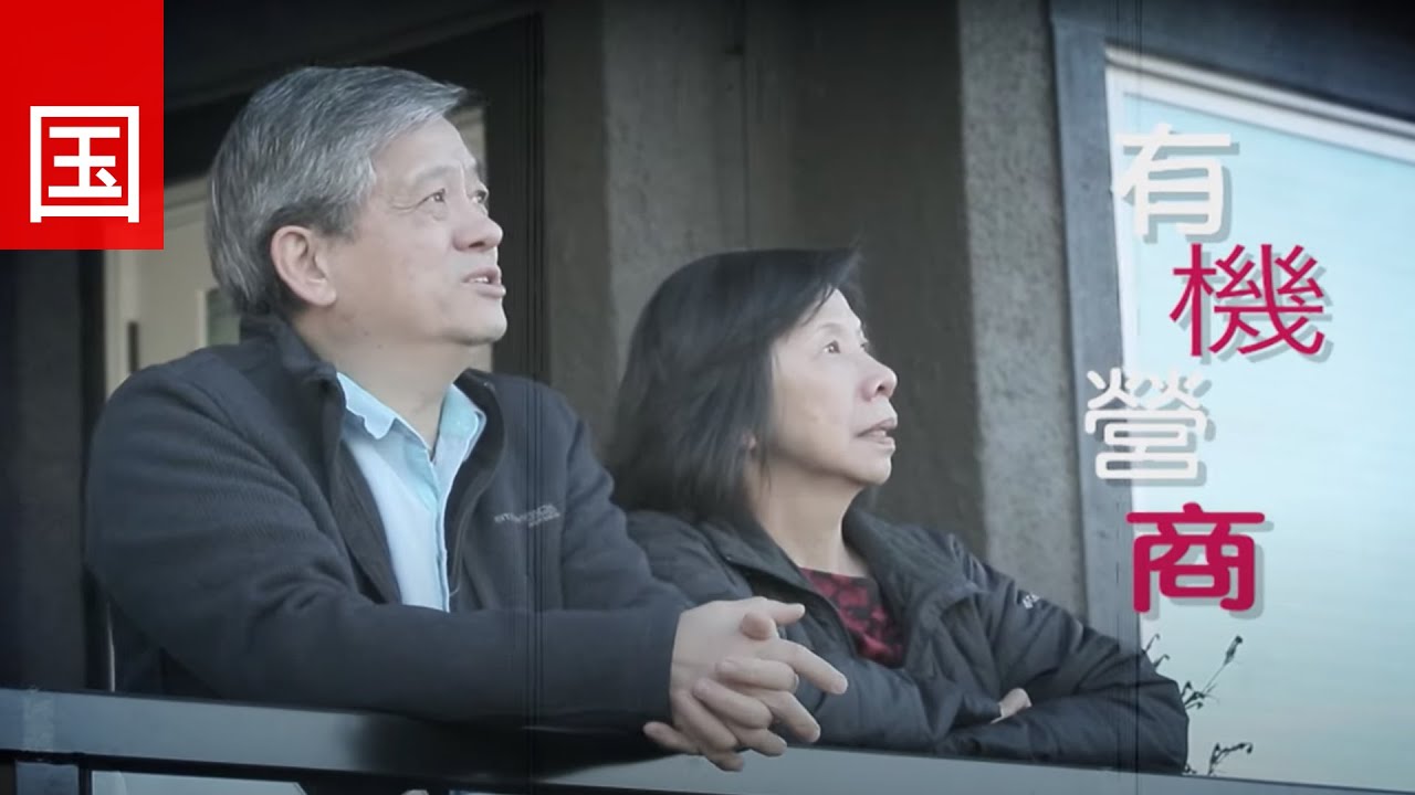 电视见证 TV1696 有机营商 (HD国语)