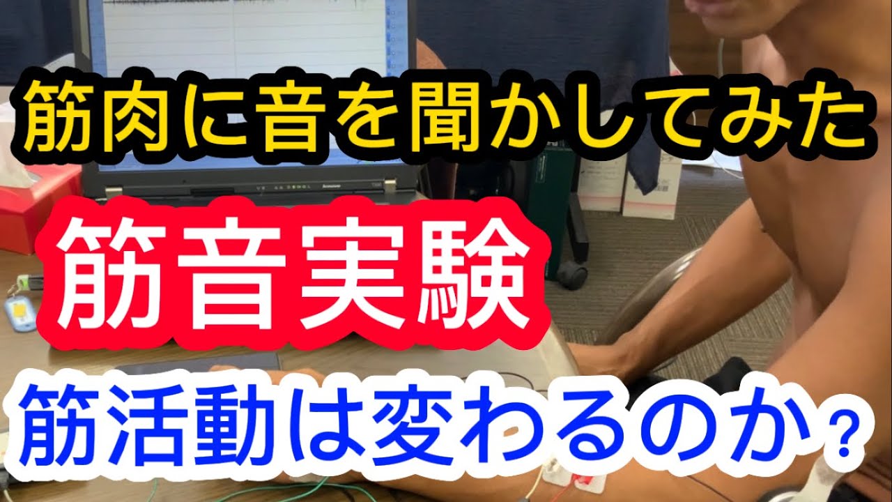 筋音セラピーの実験第一弾　筋音図とは？解説付き