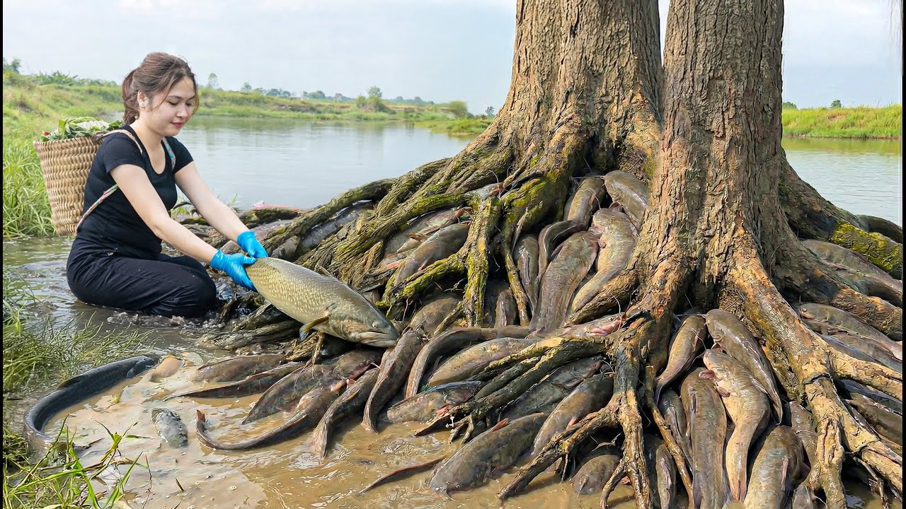 Harvesting Giant Swamp Catfish, Grilling Whole Over a Wood Fire | Primitive Rustic Cooking