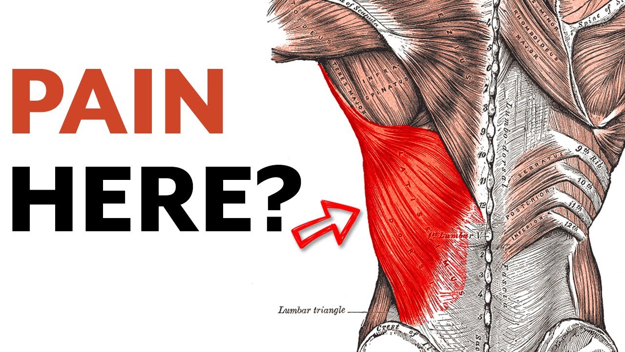 Latissimus Dorsi Pain Relief | Quick Self-Massage Technique Works Everytime!