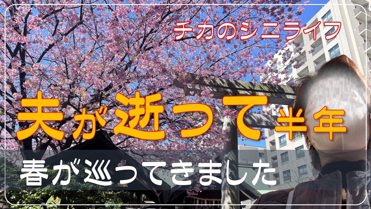 【夫急逝後　半年がたちました】　一人で頑張った夫亡き後の事　夫は旅行中？　シニアVlog　お一人様年金生活