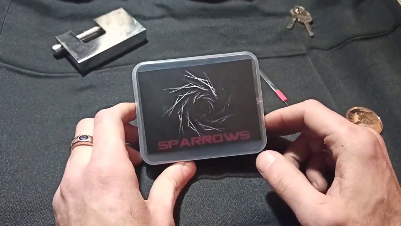 Lockpicking: Disk Detainer (Come si usa?)