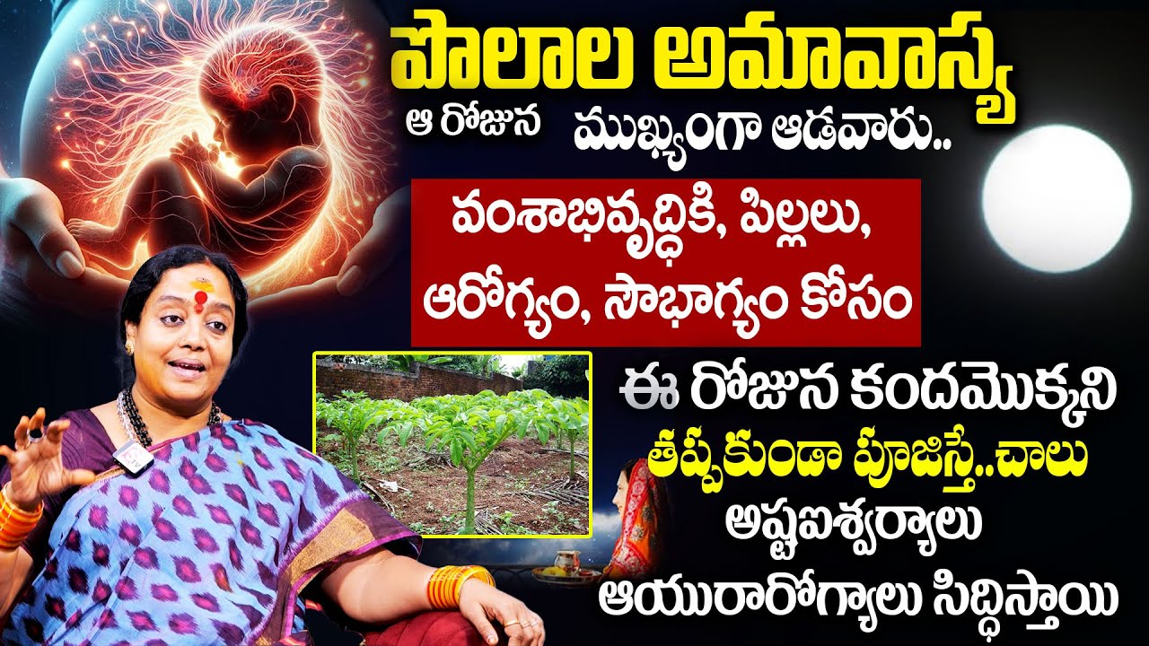 VenuShyama : శ్రావణమాసం పొలాల అమావాస్య విశిష్టత..! | Polala amavasya |@sumantvmantra