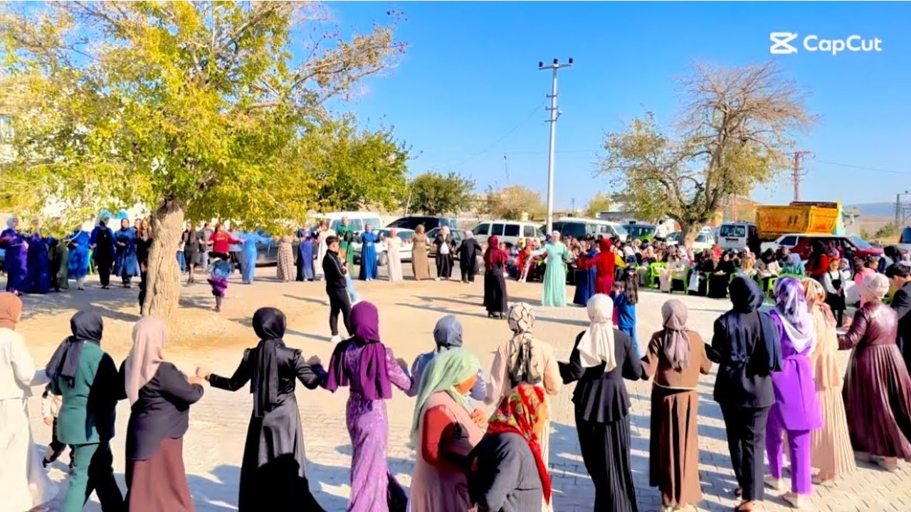 Haci kiraz ve ekibi Yavuzeli Sarı buğday köyünde Noldu dünya güzeli 