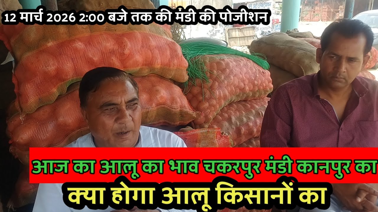 आज का आलू का भाव चकरपुर मंडी कानपुर का 12 मार्च 2026 2:00 बजे तक की मंडी की पोजीशन 