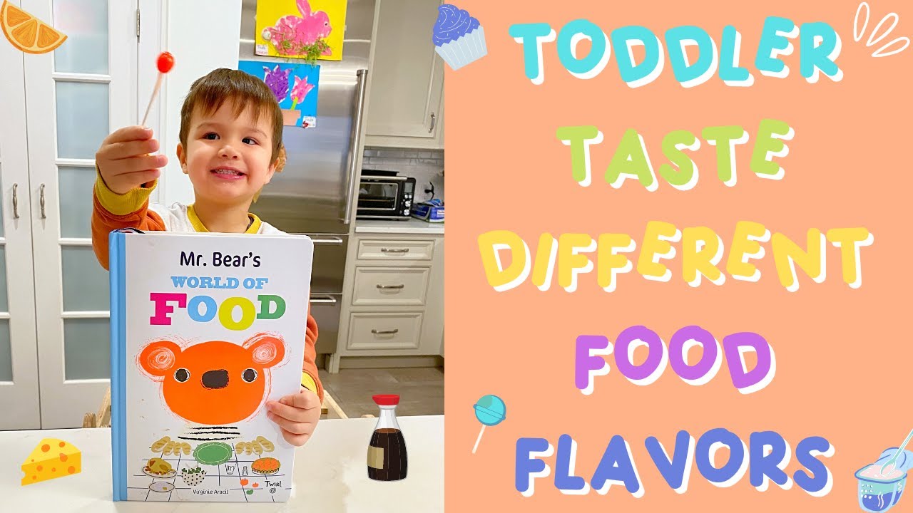 TODDLER TASTE FOOD from Mr. Bear's WORLD OF FOOD!